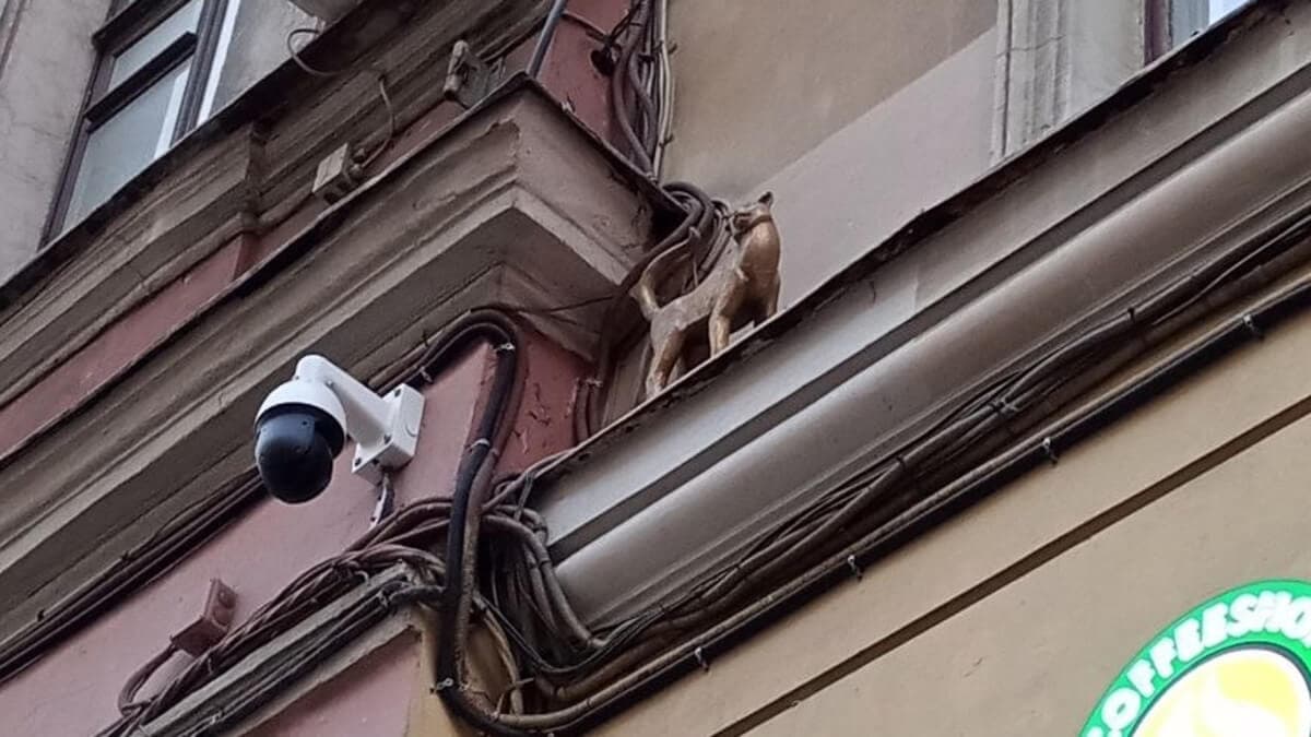 Итальнской Дворик 