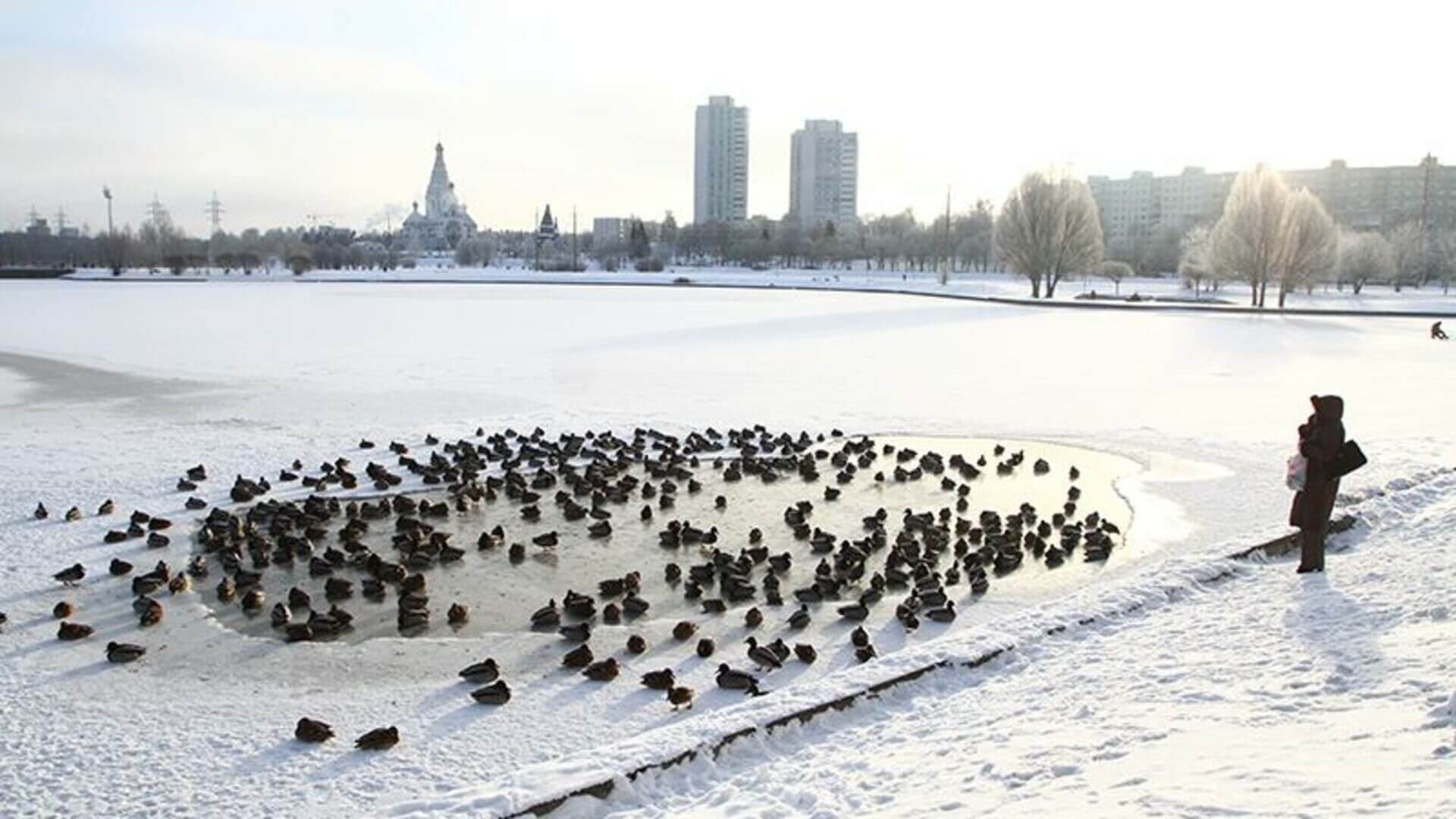 Минская зимняя атмосферная