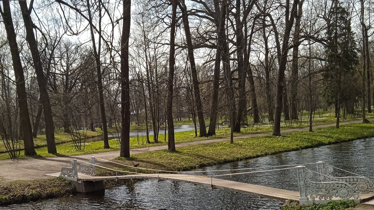 Белая башня
