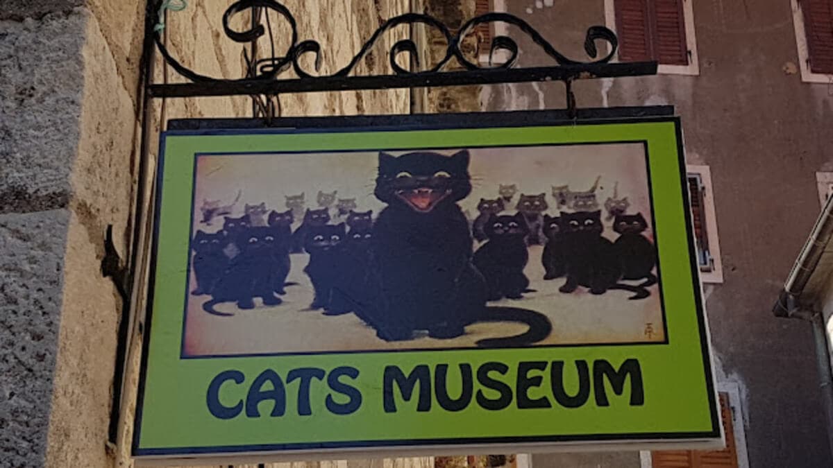 Музей кошек