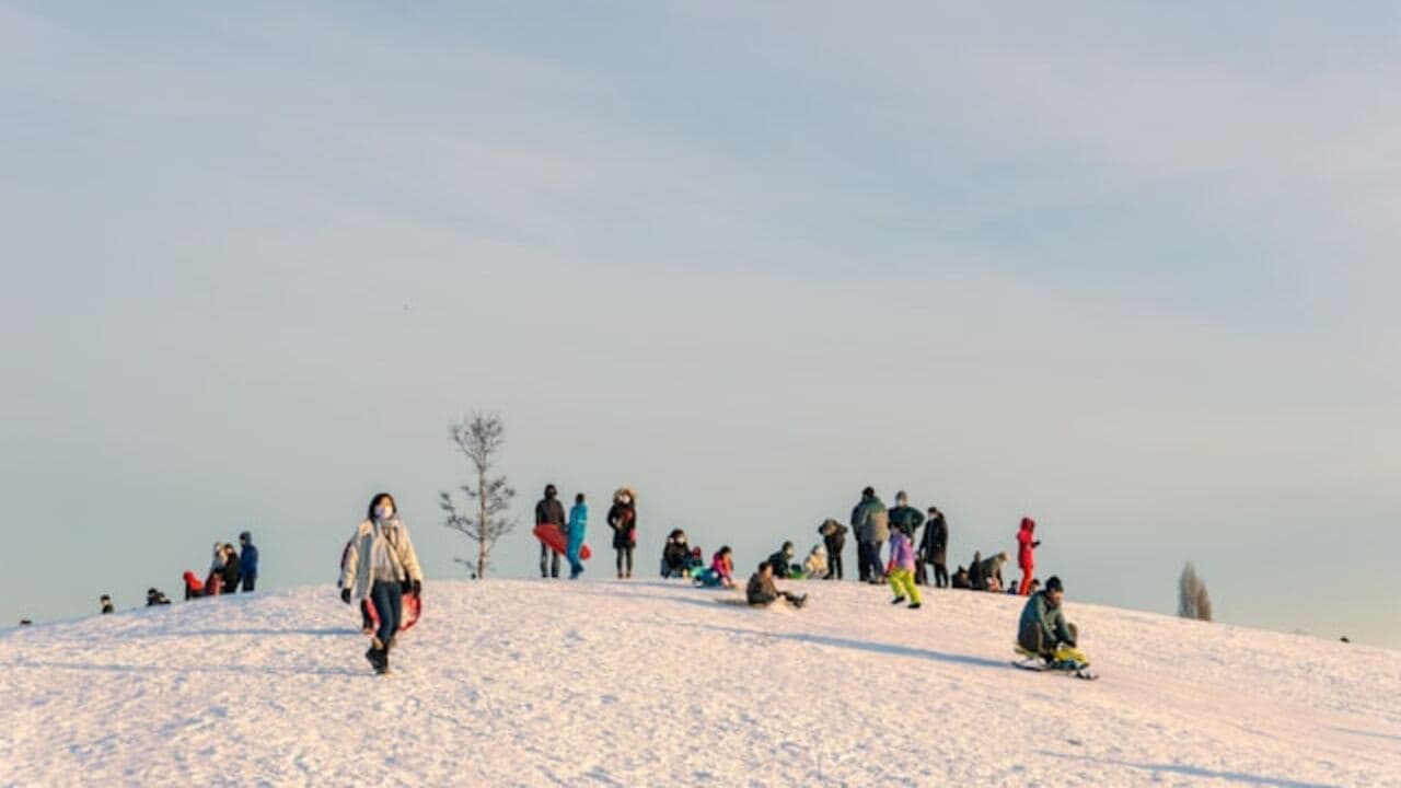 Снежные горки Снежные горки
