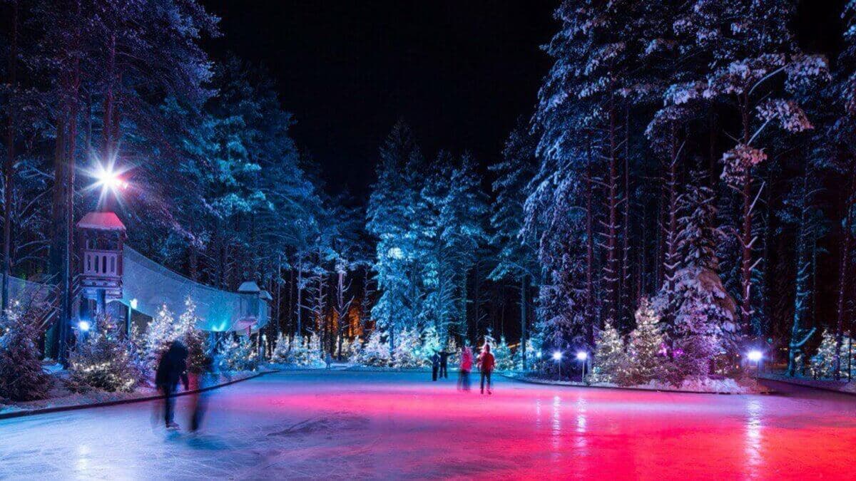 Лесной каток Лесной каток