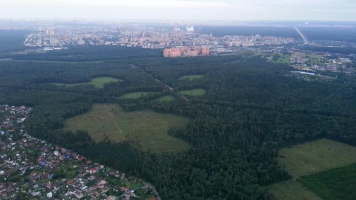 Горенский лесопарк Горенский лесопарк