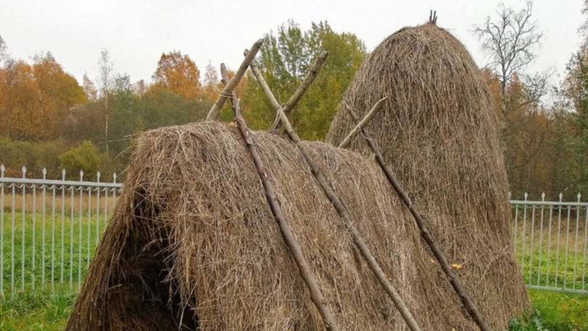 Шалаш В.И. Ленина Шалаш В.И. Ленина