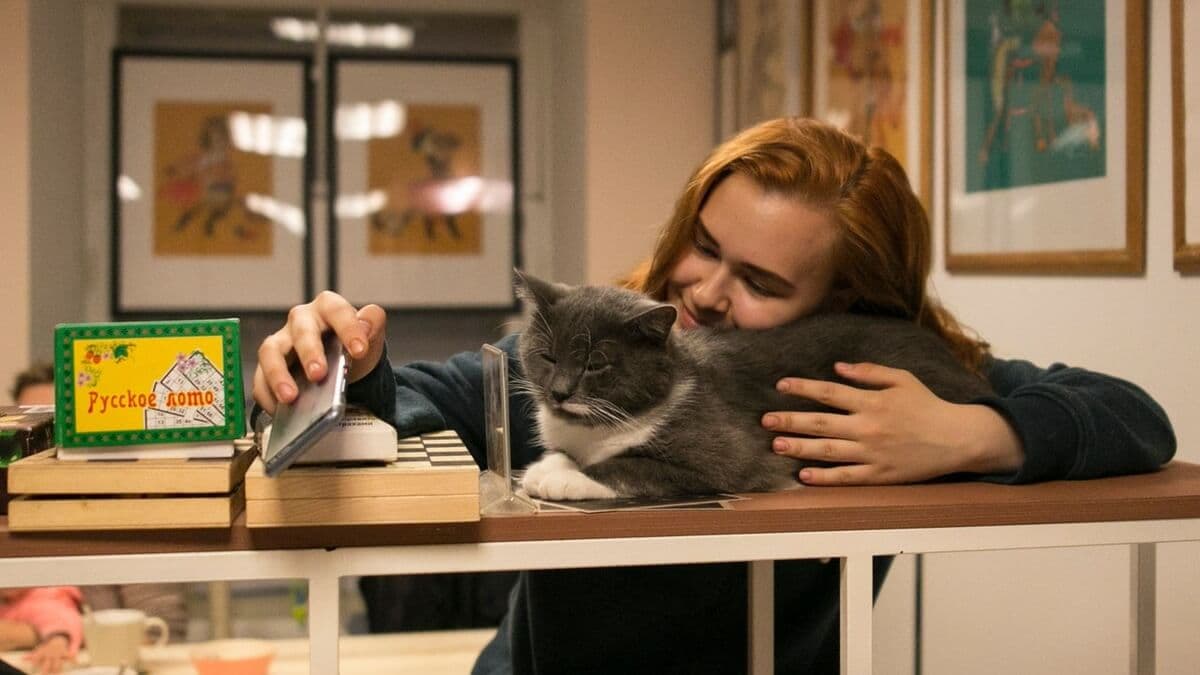 Котокафе «Soulmate» Котокафе «Soulmate»